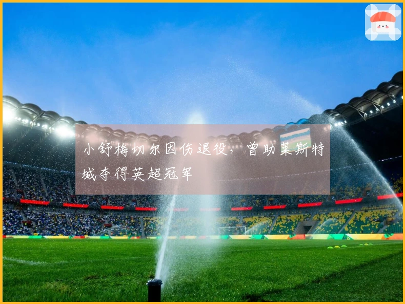小舒梅切尔因伤退役，曾助莱斯特城夺得英超冠军